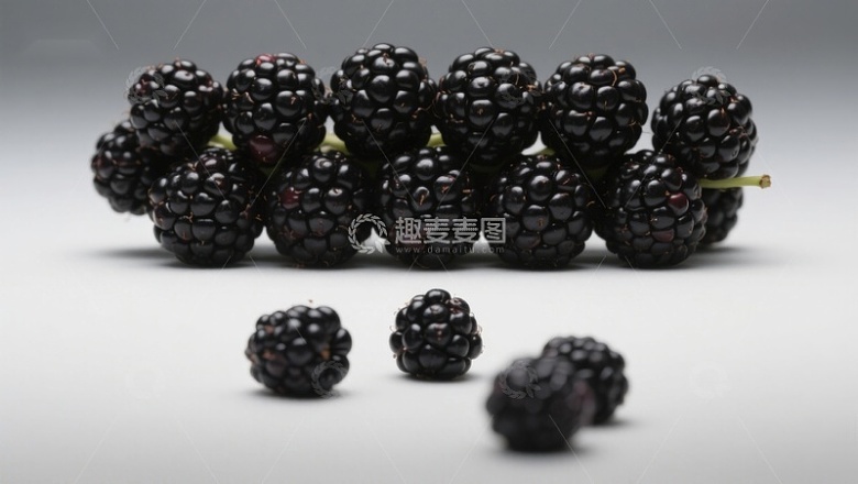 新鲜黑莓静物展示