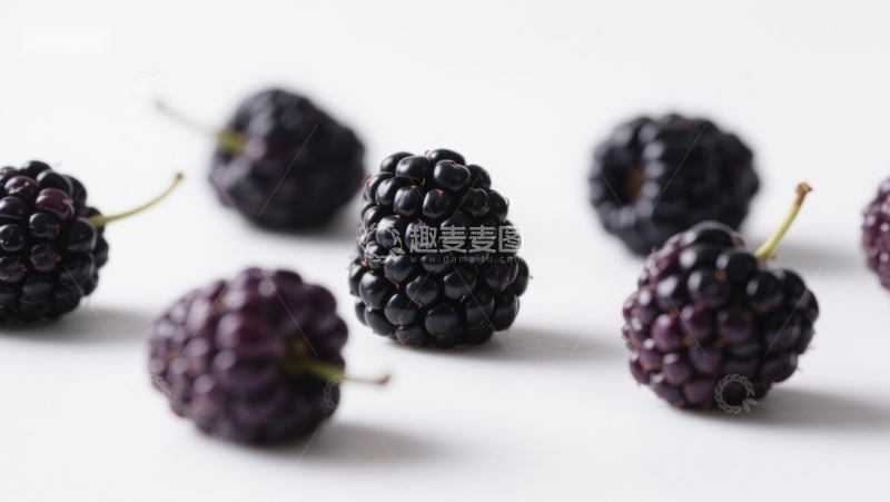 高清大图下载【趣麦麦图】新鲜黑莓散落于白色背景
