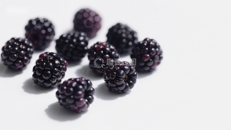 高清大图下载【趣麦麦图】新鲜黑莓散落于白色背景