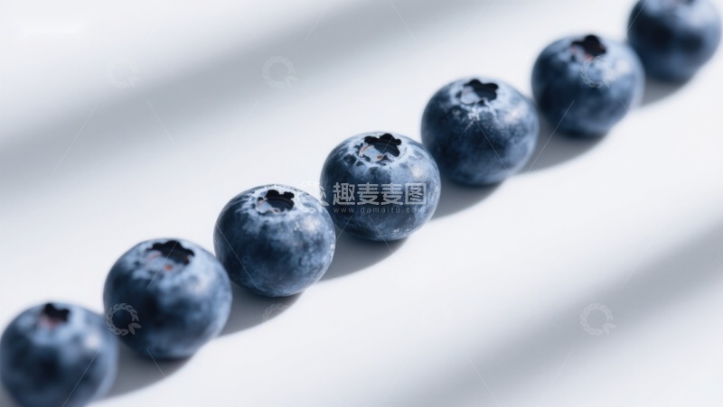 高清大图下载【趣麦麦图】一排新鲜蓝莓的特写