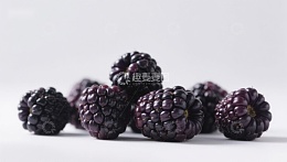 新鲜黑莓静物展示