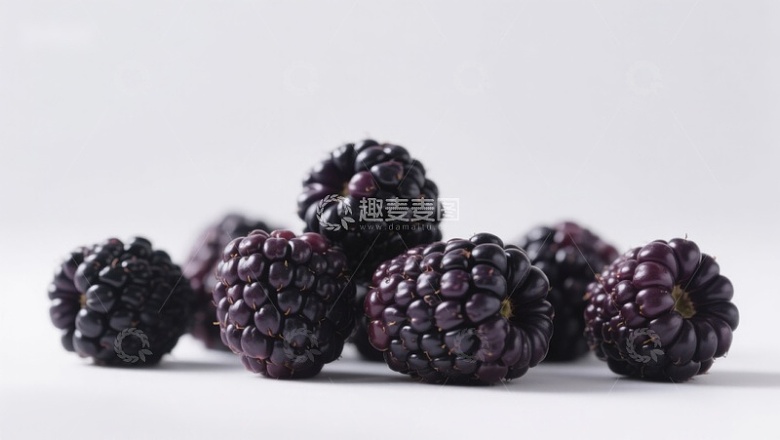 新鲜黑莓静物展示