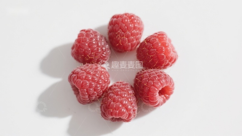 高清大图下载【趣麦麦图】新鲜覆盆子排列成圆形