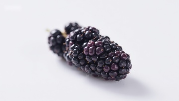 新鲜黑莓特写
