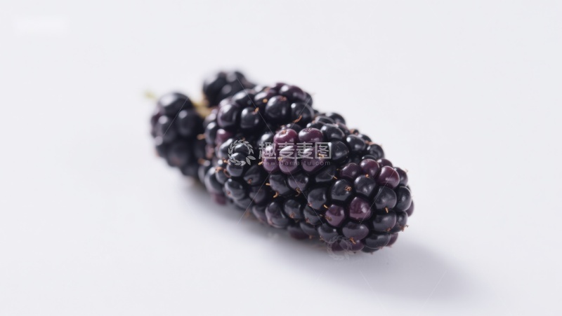 高清大图下载【趣麦麦图】新鲜黑莓特写