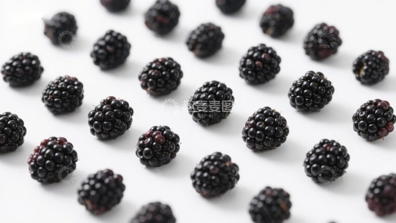 高清大图下载【趣麦麦图】新鲜黑莓整齐排列于白色背景