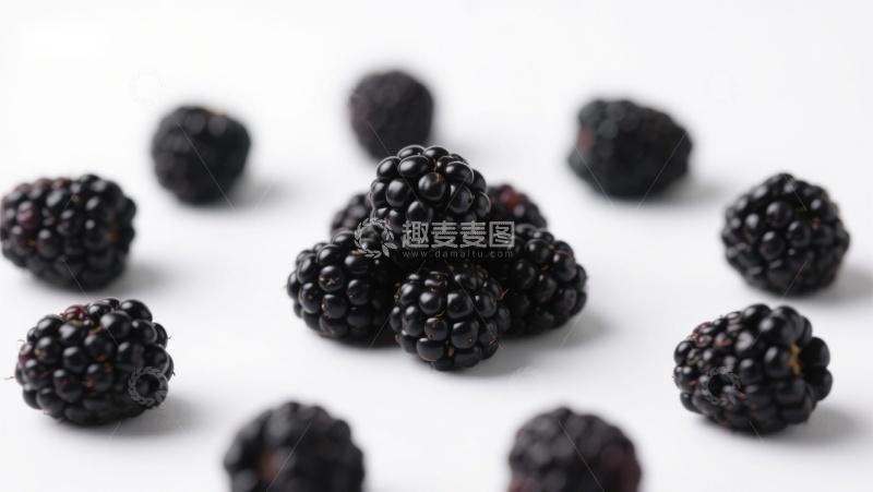 高清大图下载【趣麦麦图】新鲜黑莓散落白色背景