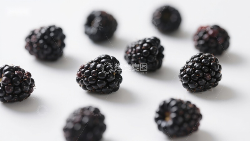 高清大图下载【趣麦麦图】新鲜黑莓散落白色背景