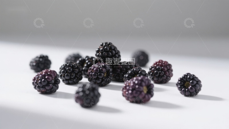 高清大图下载【趣麦麦图】新鲜黑莓散落于白色背景