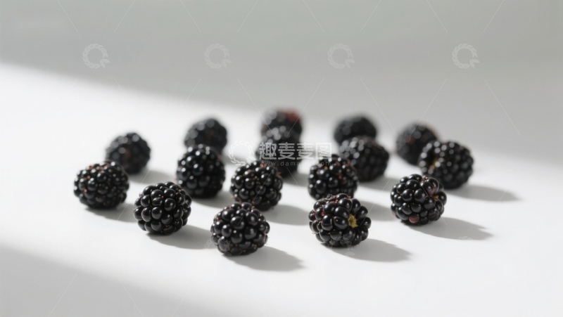 高清大图下载【趣麦麦图】新鲜黑莓散落于白色背景