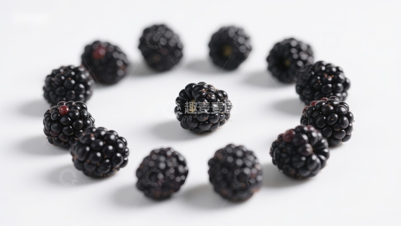 高清大图下载【趣麦麦图】新鲜黑莓排列成圆形