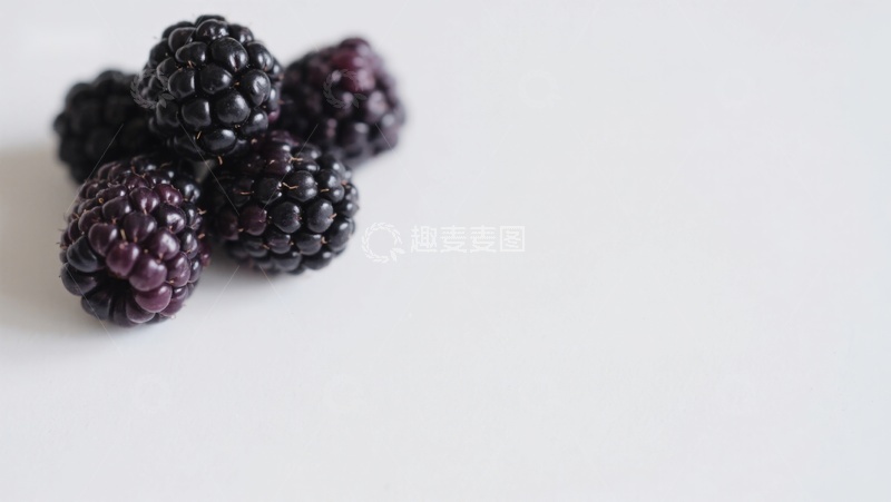 高清大图下载【趣麦麦图】新鲜黑莓静置白色背景