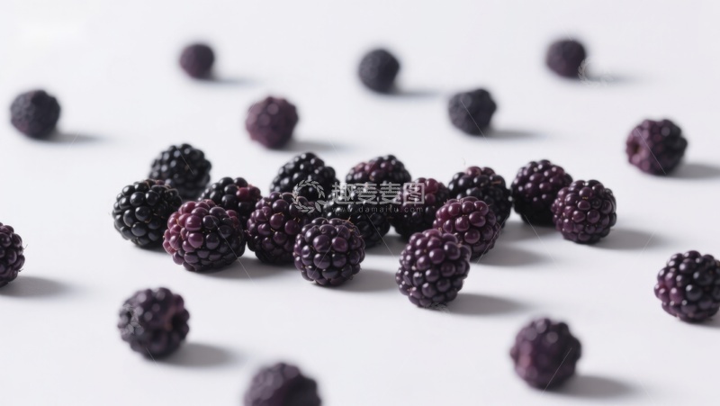 高清大图下载【趣麦麦图】新鲜黑莓散落于白色背景