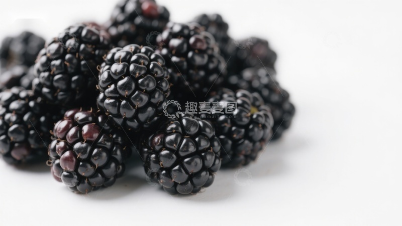 高清大图下载【趣麦麦图】新鲜黑莓特写
