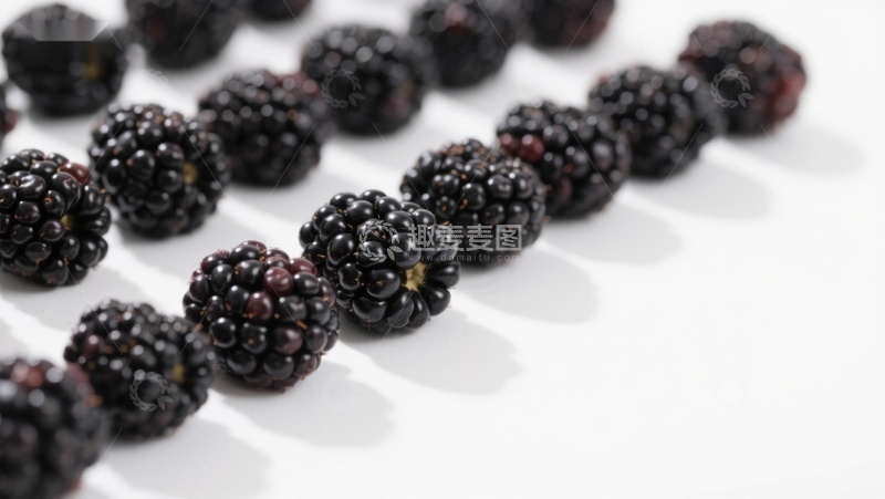 高清大图下载【趣麦麦图】新鲜黑莓排列在白色背景上