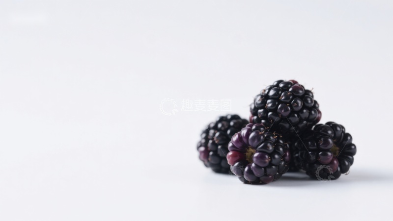 高清大图下载【趣麦麦图】新鲜黑莓堆叠在白色背景上