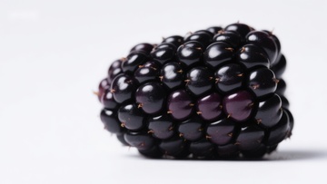 新鲜黑莓特写
