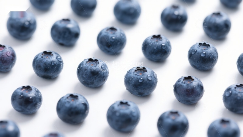 高清大图下载【趣麦麦图】新鲜蓝莓整齐排列