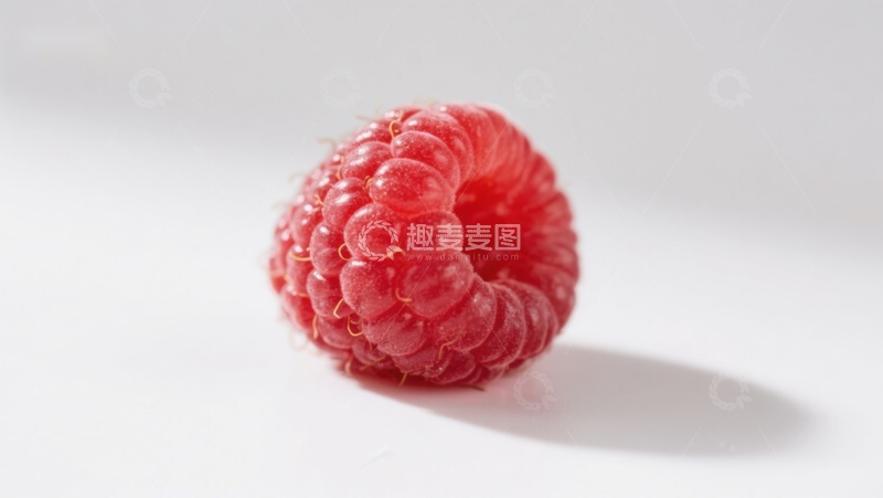 高清大图下载【趣麦麦图】新鲜红莓特写