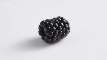 新鲜黑莓特写
