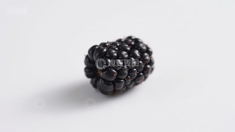 高清大图下载【趣麦麦图】新鲜黑莓特写