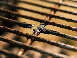 锈迹斑斑的金属栅栏特写