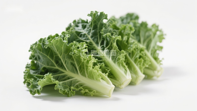 高清大图下载【趣麦麦图】新鲜卷心菜叶的特写