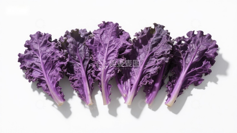 高清大图下载【趣麦麦图】紫色羽衣甘蓝排列展示