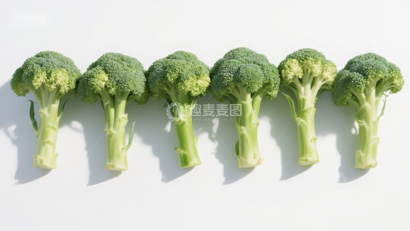 高清大图下载【趣麦麦图】六颗西兰花整齐排列