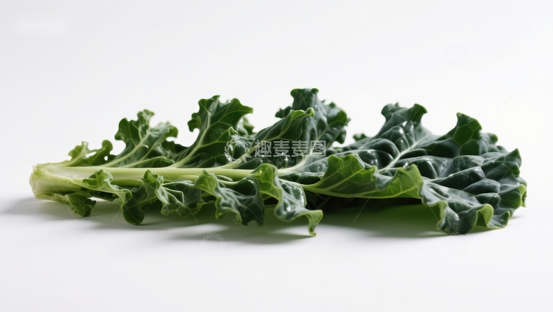 高清大图下载【趣麦麦图】新鲜绿色羽衣甘蓝叶