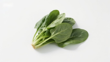 新鲜绿叶蔬菜特写