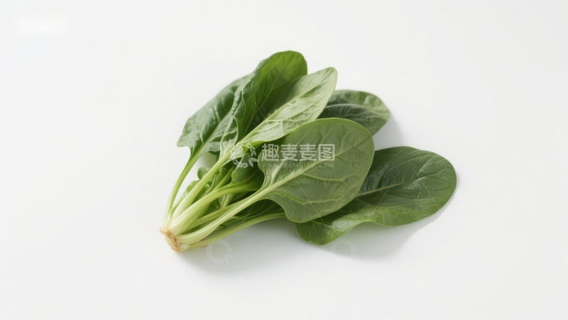 高清大图下载【趣麦麦图】新鲜绿叶蔬菜特写