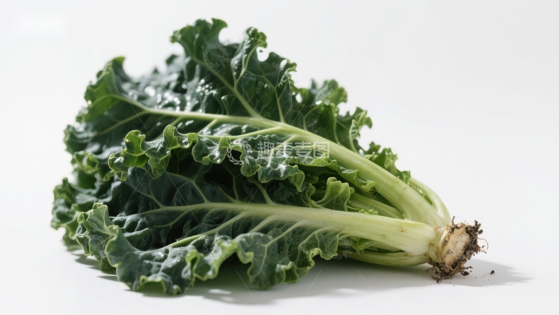 高清大图下载【趣麦麦图】新鲜绿色羽衣甘蓝特写