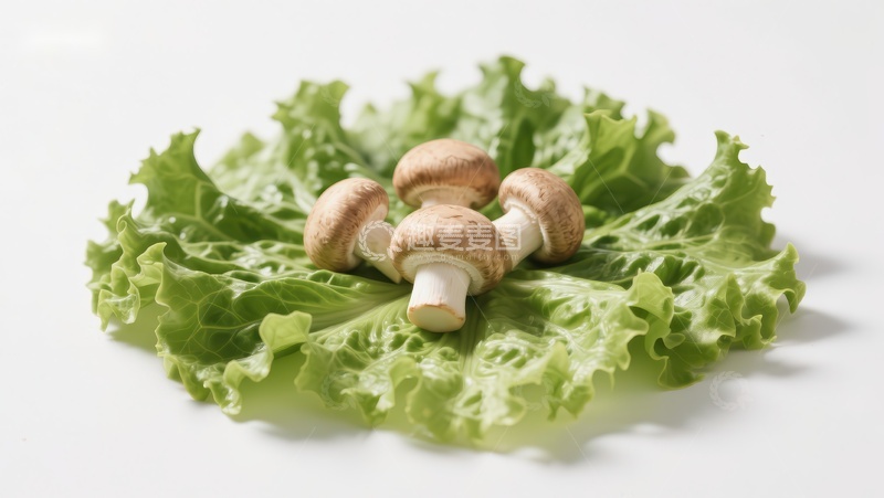 高清大图下载【趣麦麦图】新鲜蘑菇置于生菜之上