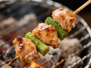 烤鸡肉串与青葱在炭火上烧烤