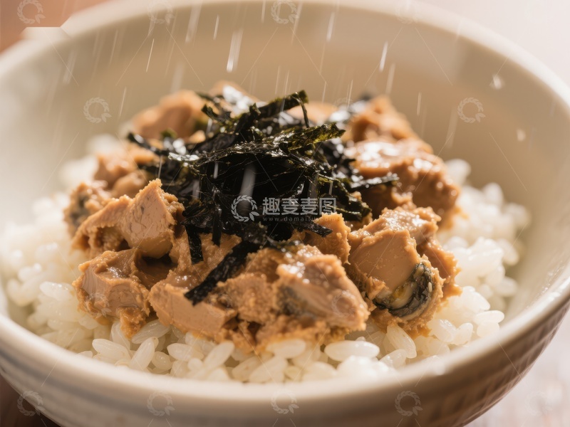 高清大图下载【趣麦麦图】海苔鸡肉盖饭特写