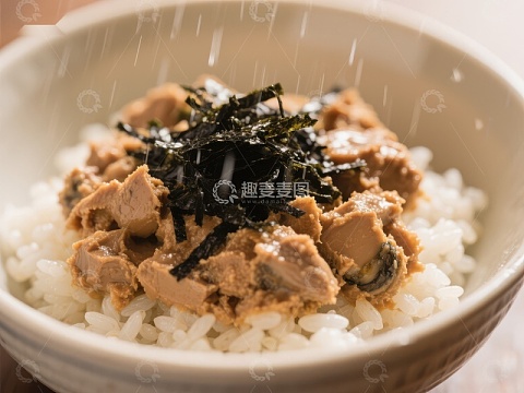海苔鸡肉盖饭特写