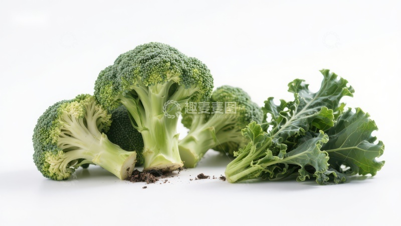 高清大图下载【趣麦麦图】新鲜西兰花与羽衣甘蓝