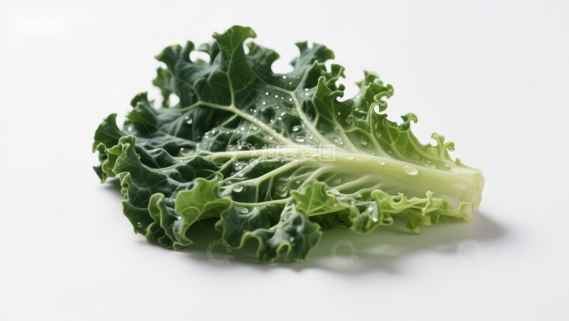 高清大图下载【趣麦麦图】新鲜绿叶甘蓝特写