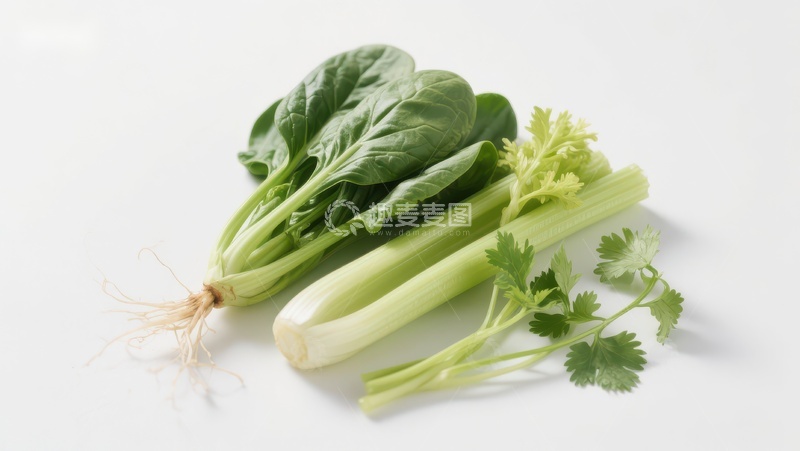 高清大图下载【趣麦麦图】新鲜蔬菜组合：菠菜、芹菜与香菜