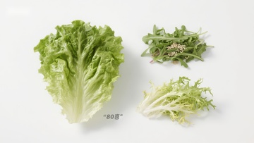 新鲜绿叶蔬菜展示