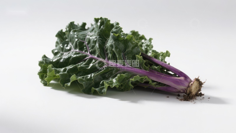 高清大图下载【趣麦麦图】新鲜羽衣甘蓝特写