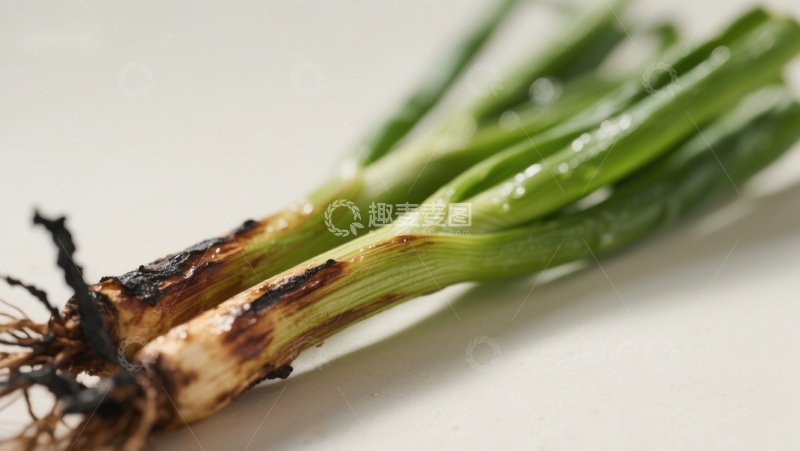 高清大图下载【趣麦麦图】新鲜葱段特写