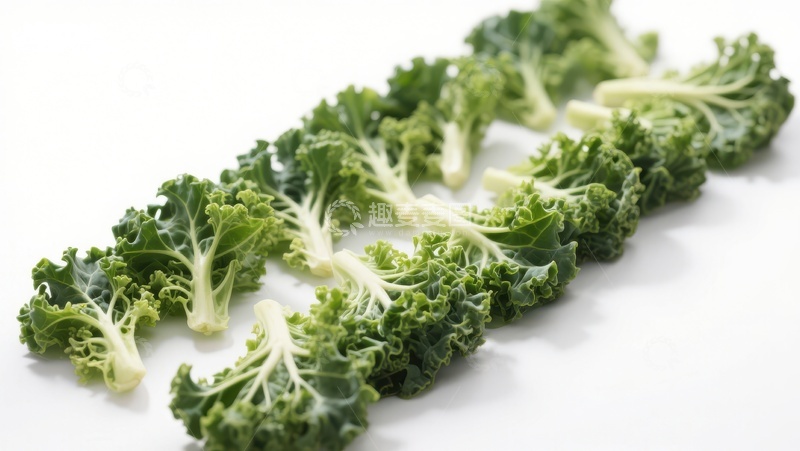 高清大图下载【趣麦麦图】新鲜绿色羽衣甘蓝排列展示