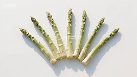 新鲜绿色芦笋排列展示
