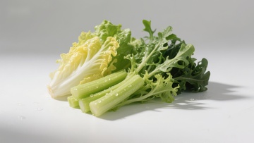 新鲜绿叶蔬菜特写