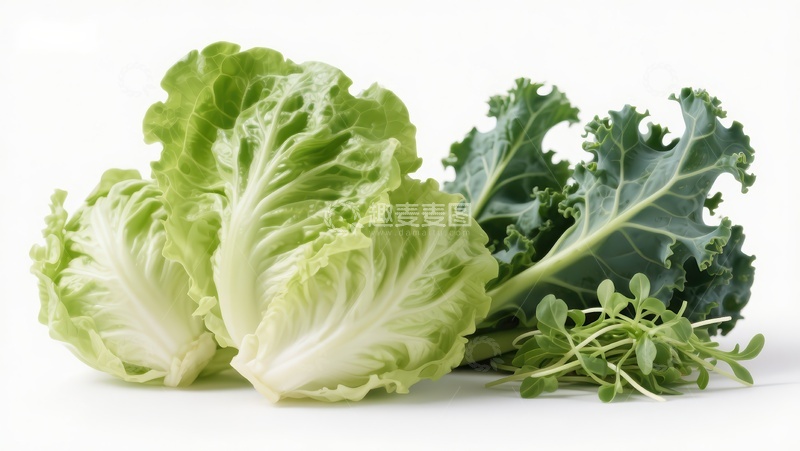 高清大图下载【趣麦麦图】新鲜生菜与羽衣甘蓝