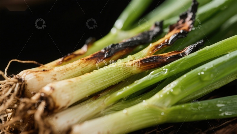高清大图下载【趣麦麦图】新鲜葱苗特写，根部略显焦黑