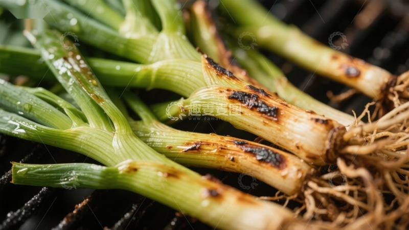 高清大图下载【趣麦麦图】烤制中的青葱特写