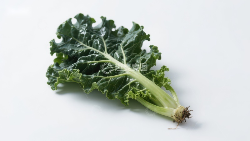 高清大图下载【趣麦麦图】-新鲜羽衣甘蓝叶特写